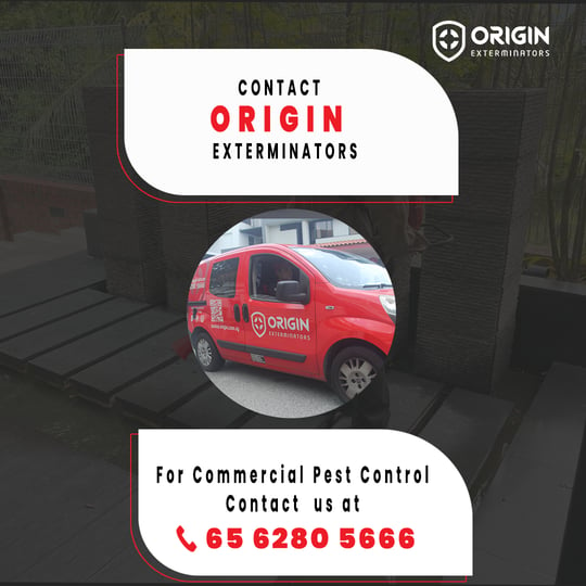 ORIGIN Commercial Pest Control Service