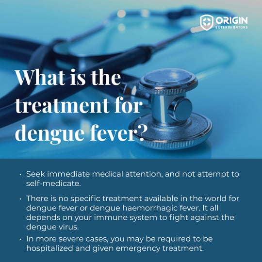 treatment for dengue fever