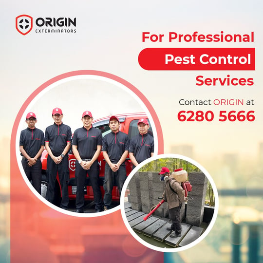 Professional Cockroach Control Company