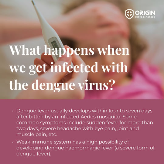 Dengue fever