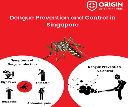 Ways to Prevent Dengue from Spreading