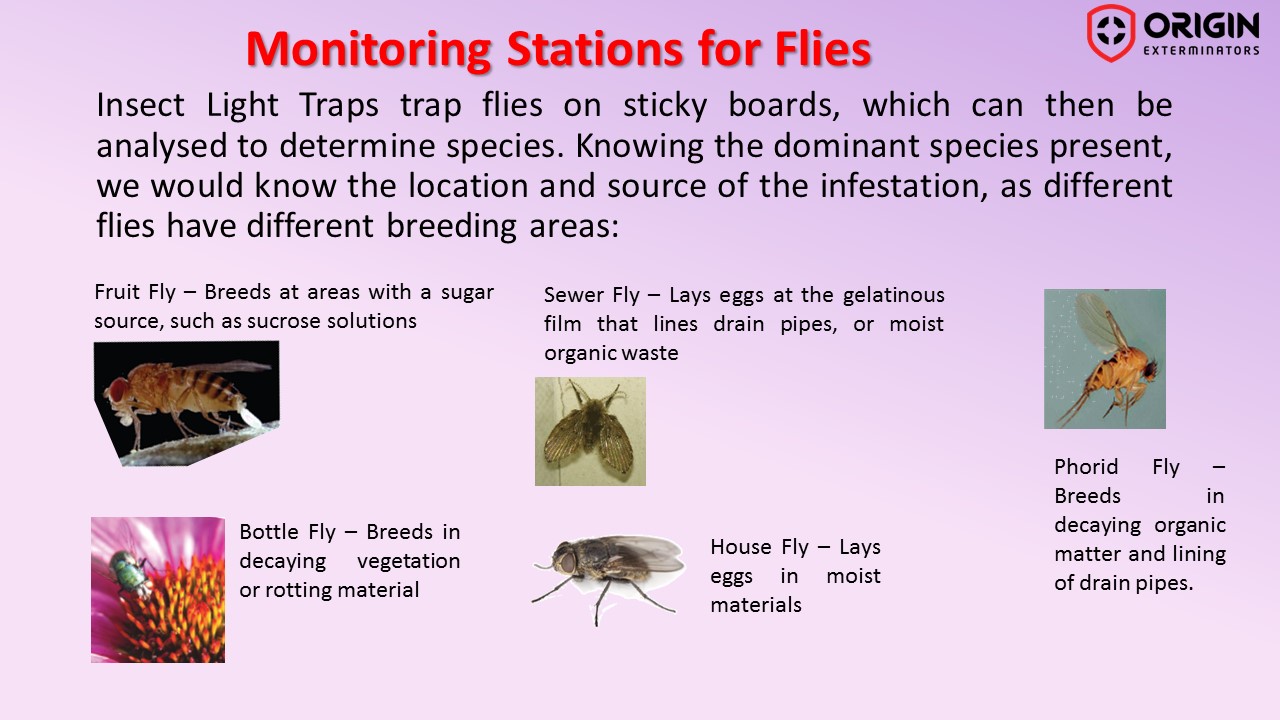 ORIGIN monitoring stations for flies