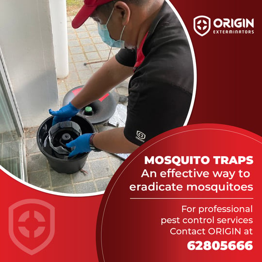 ORIGIN Mosquito Traps