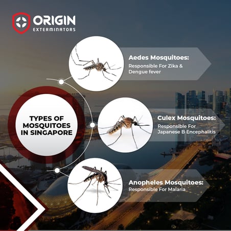What are the types of Mosquito Species?