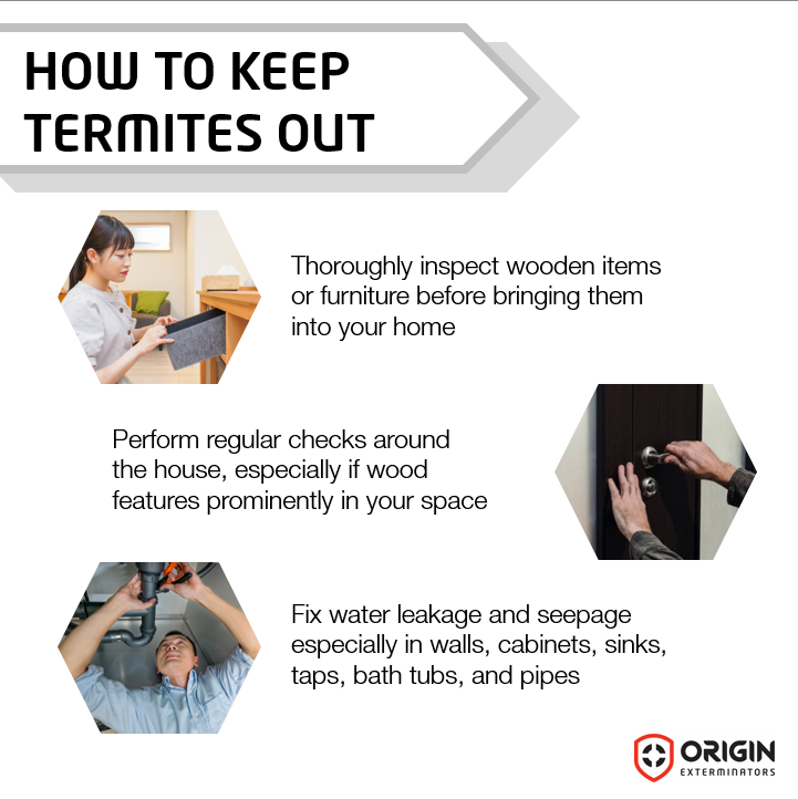Ways to prevent termites