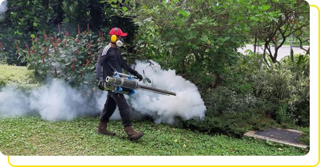 The Importance of Hiring Good Pest Control Services
