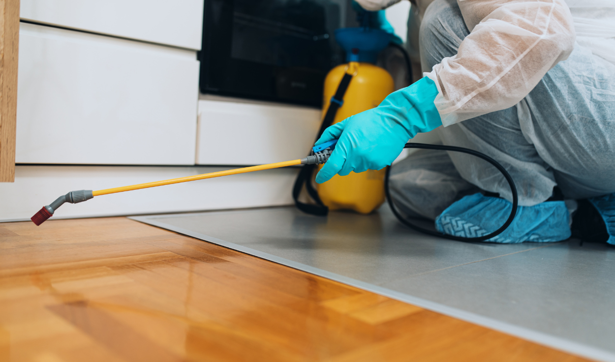 5 reasons why you should consider hiring a pest control company