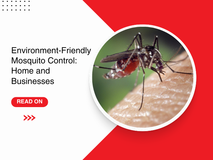 Environment-Friendly Mosquito Control: Home and Businesses