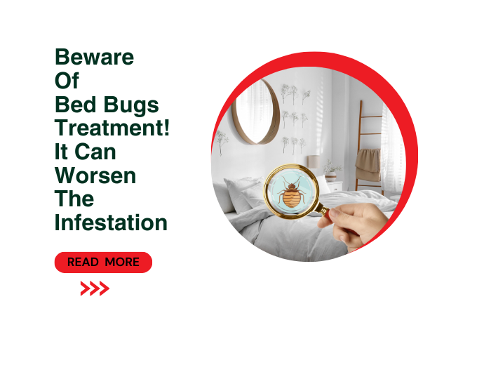 Beware of Bed Bugs Treatment! It Can Worsen The Infestation