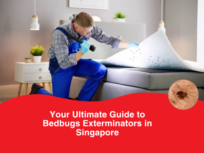 Your Ultimate Guide to Bedbugs Exterminators in Singapore