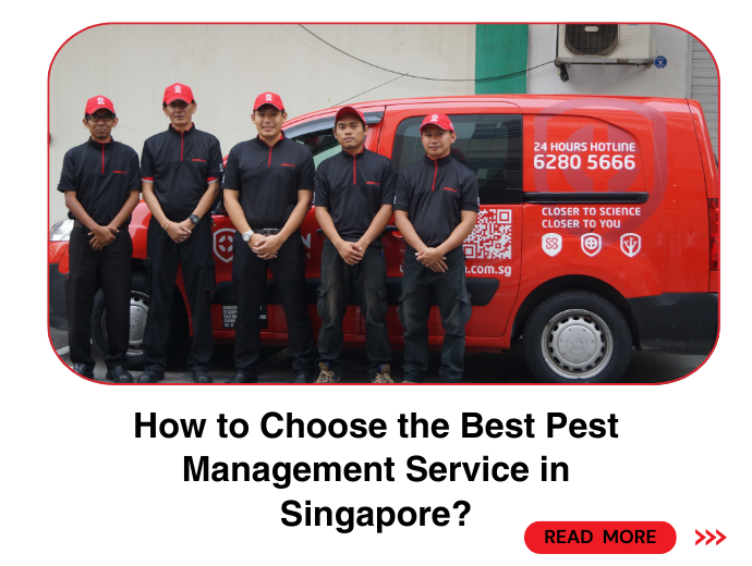 How to Choose the Best Pest Management Service in Singapore?