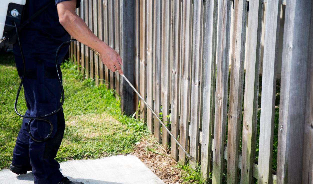 Eco-Friendly Pest Control: How to Go Green and Get Rid of Pests in Singapore