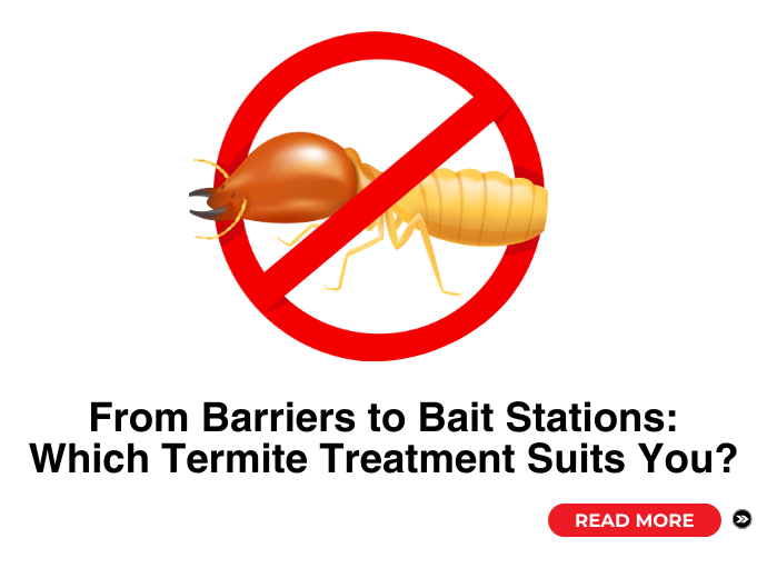 Barriers to Bait Stations: Which Termite Treatment Suits You