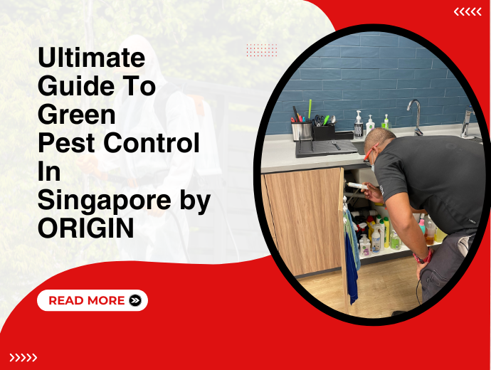 Ultimate Guide to Green Pest Control in Singapore by ORIGIN