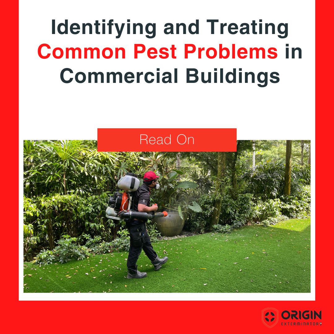 Identifying and Treating Common Pest Problems in Commercial Buildings