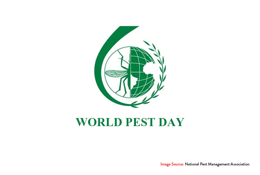 What is World Pest Day and Why Is It Celebrated?