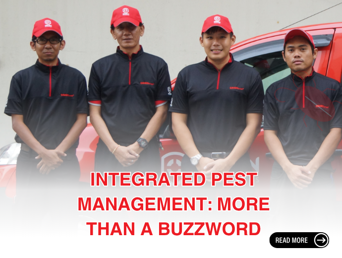 Integrated Pest Management Singapore : More Than A Buzz Word