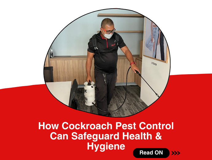 How Cockroach Pest Control Safeguard Your Health & Hygiene