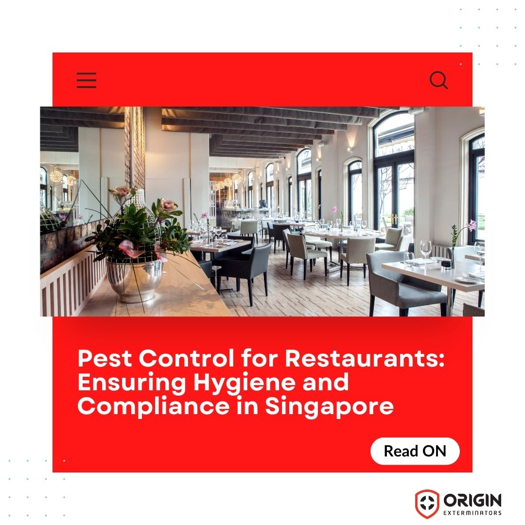Pest Control for Restaurants: Ensuring Hygiene and Compliance in Singapore