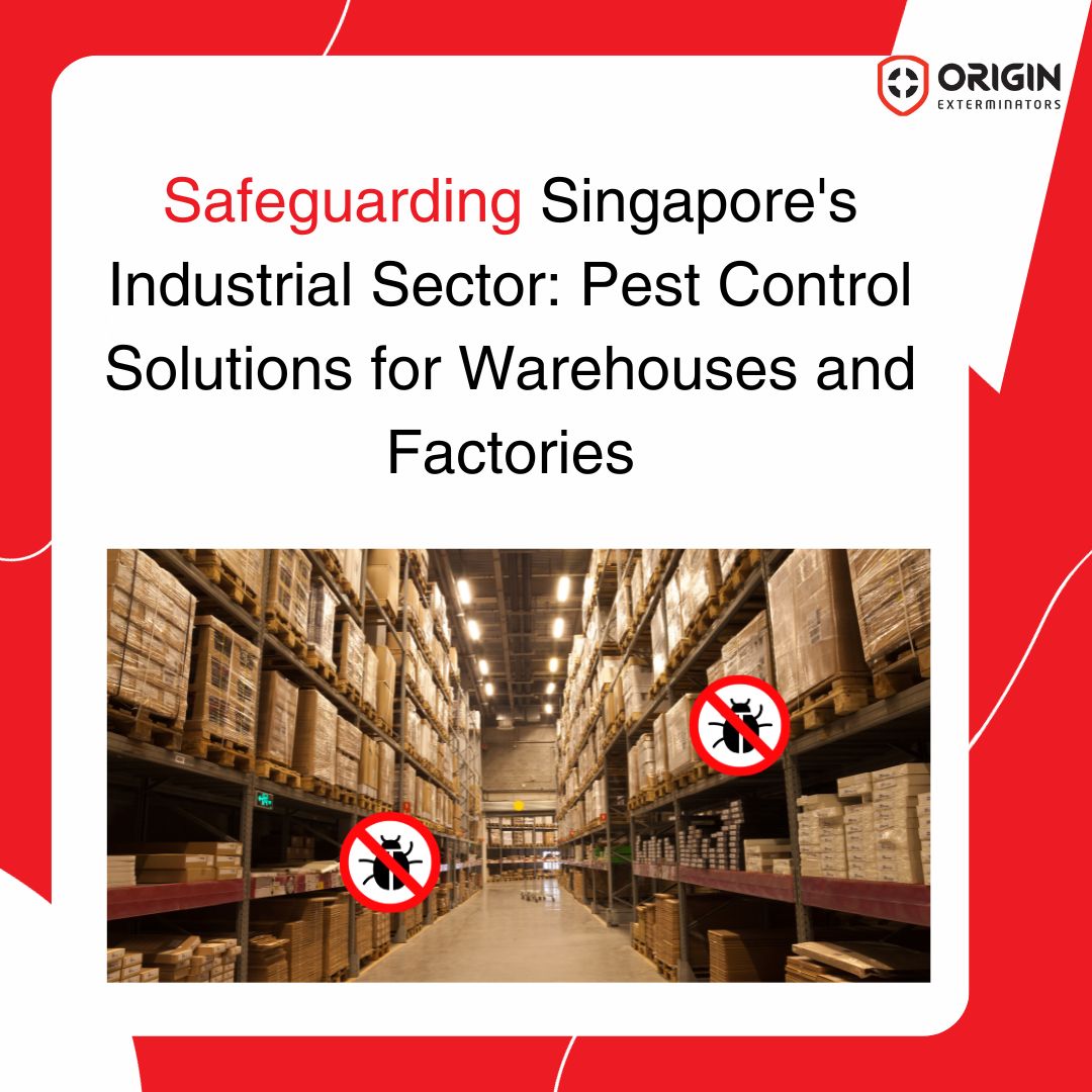 Pest Management for Singapore's Warehouses and Factories