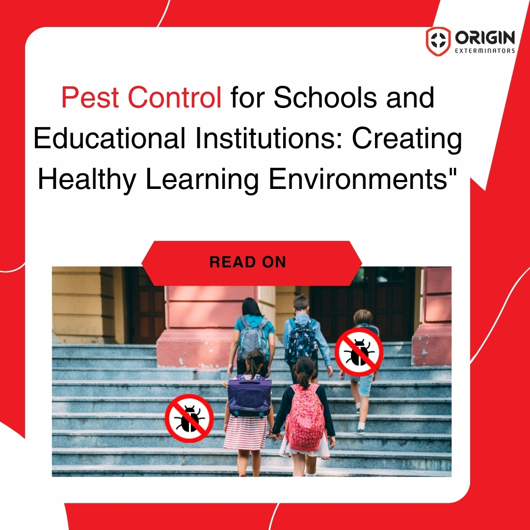 Pest Control for Schools and Educational Institutions: Creating Healthy Learning Environments