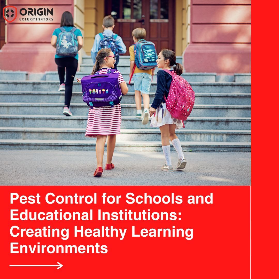 Pest Control for Schools and Educational Institutions: Creating Healthy Learning Environments