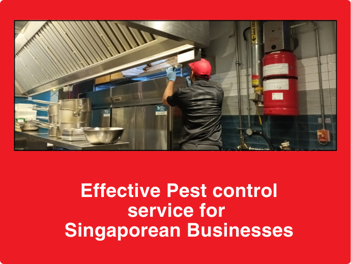 Effective Pest control service for Singaporean Businesses