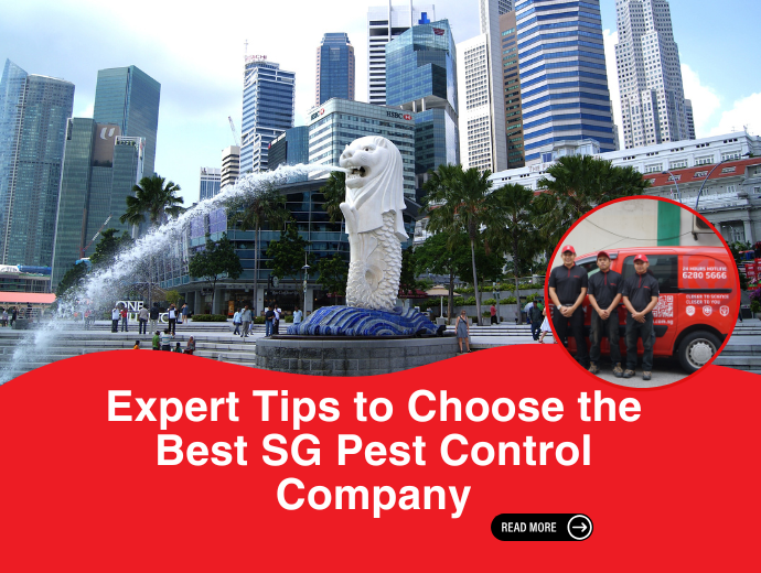 Expert Tips to Choose the Best SG Pest Control Company