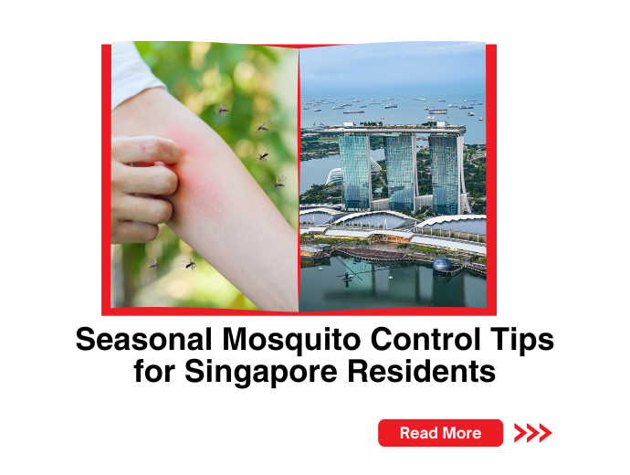 Seasonal Mosquito Control Tips for Singapore Residents