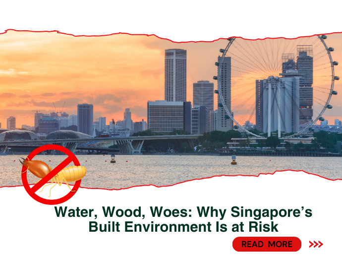 Water, Wood, Woes: Why Singapore’s Built Environment Is at Risk