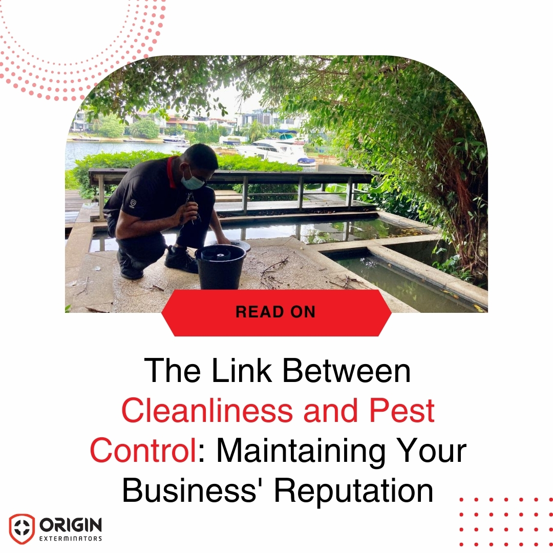 The Link Between Cleanliness and Pest Control: Maintaining Your Business' Reputation