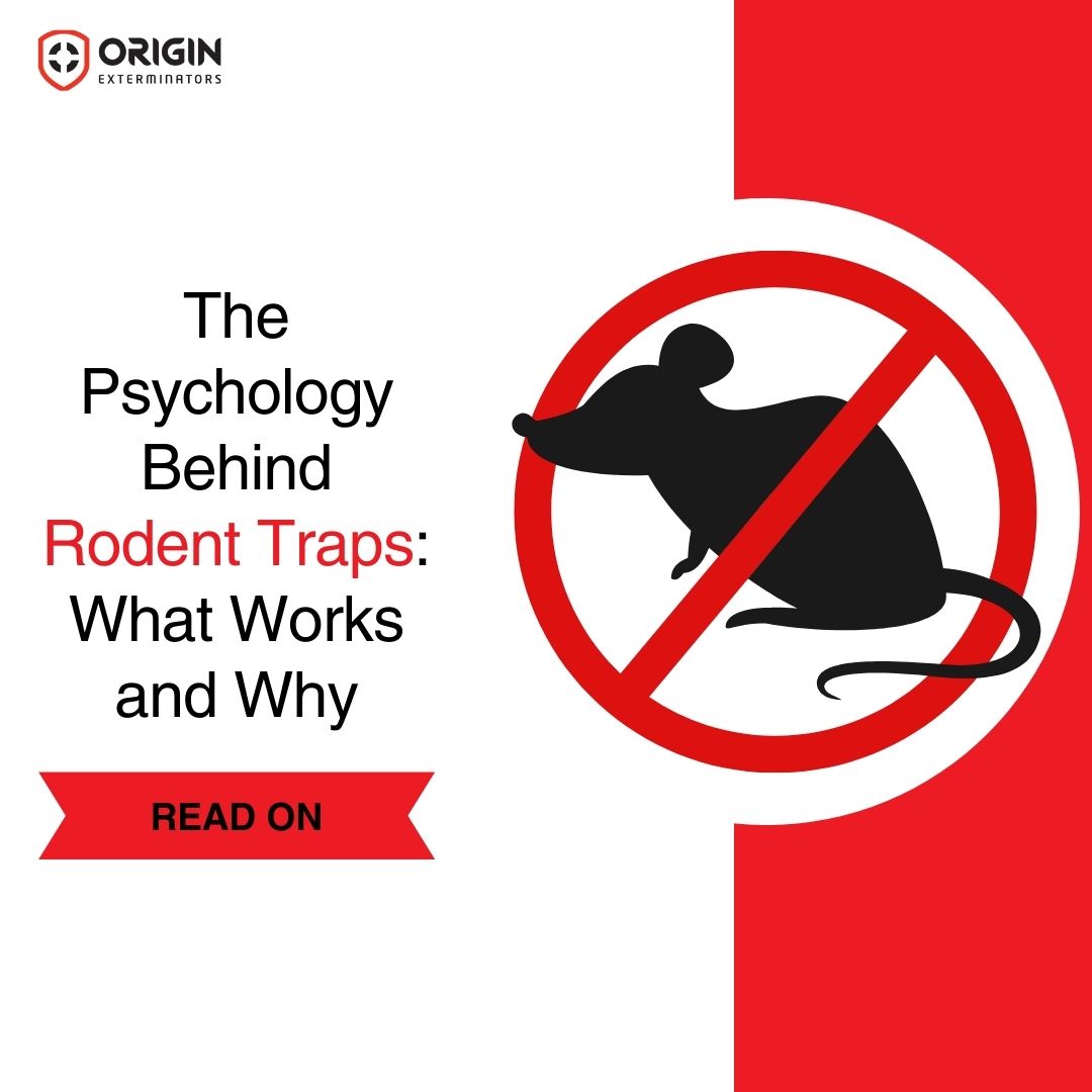 The Psychology Behind Rodent Control Traps: What Works and Why