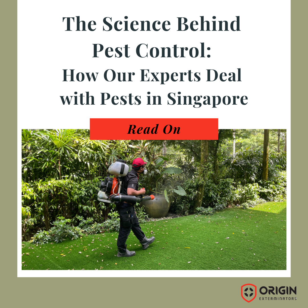 The Science Behind Pest Control: How Our Experts Deal with Pests in Singapore