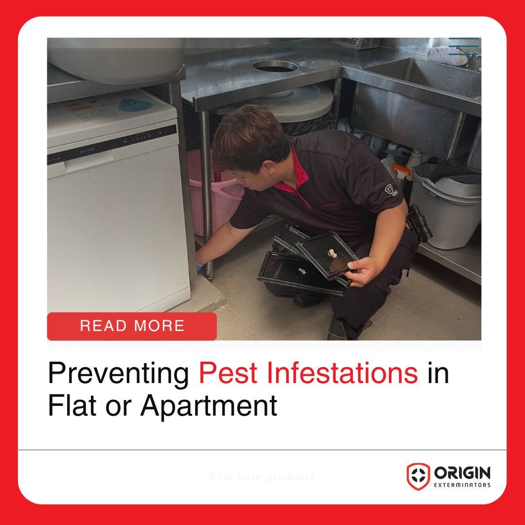 Preventing Pest Infestations in Flat or Apartment