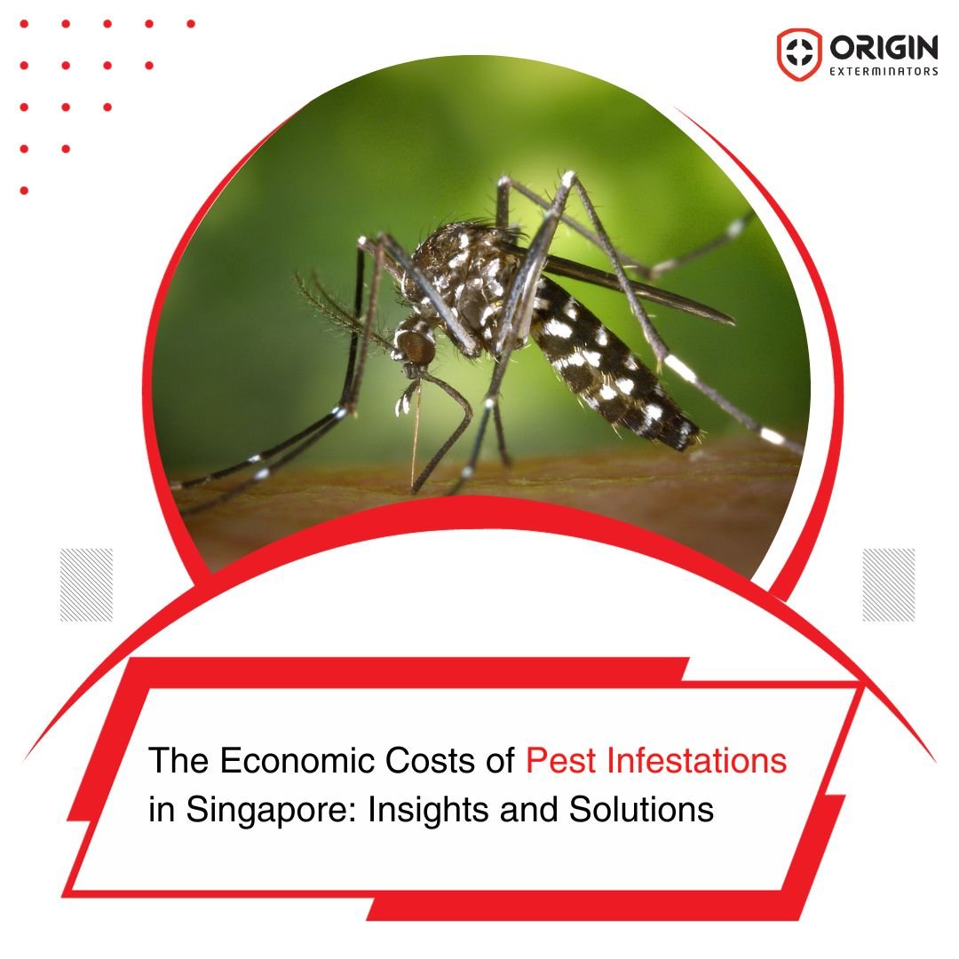 The Economic Costs of Pest Infestations in Singapore: Insights and Solutions