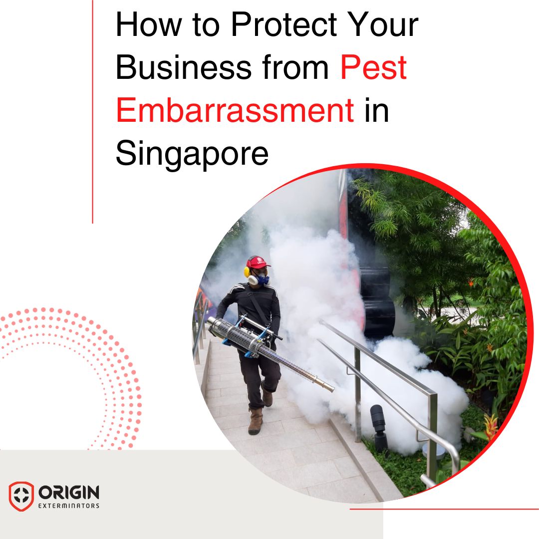 Protect Your Business With Effective Pest Control Services