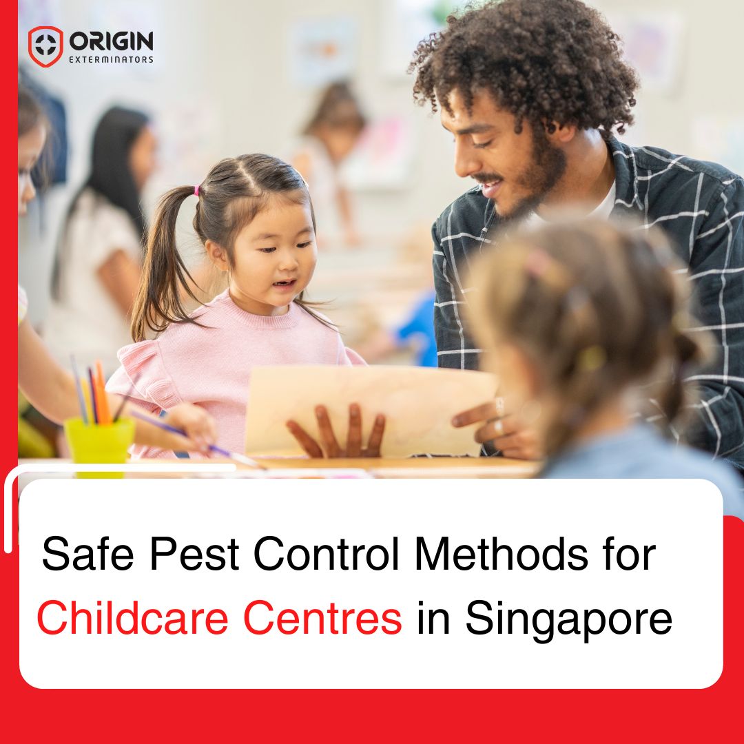 Safe Pest Control Services for Childcare Center's- Singapore