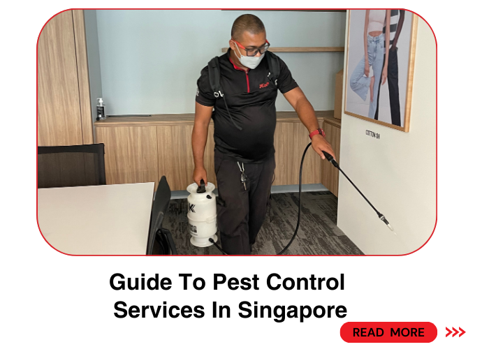 Guide to Pest Control Services in Singapore