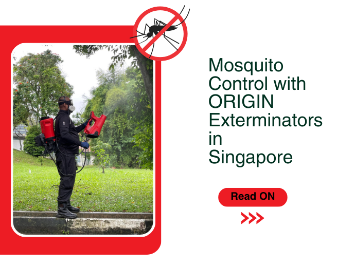 Mosquito Control with ORIGIN Exterminators in Singapore !