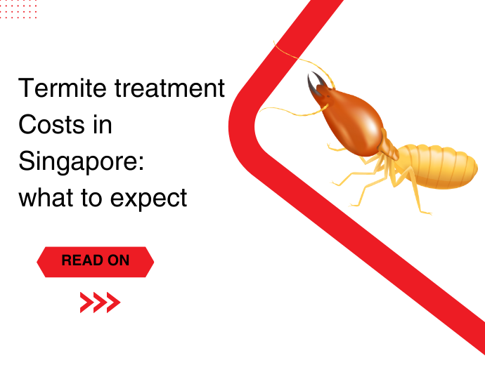 Termite Treatment Costs in Singapore: What to Expect