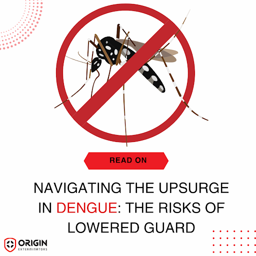 Navigating the Upsurge in Dengue: The Risks of Lowered Guard