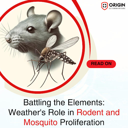 Battling the Elements: Weather's Role in Rodent and Mosquito Proliferation